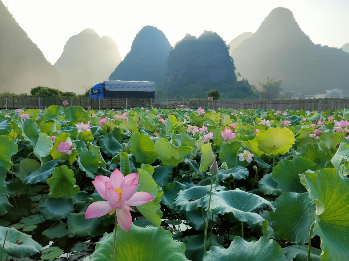 Yangshuo Tea Cozy--One Way Free Pick Up From Airport Or Ts 4 Nights Guest House Luaran gambar